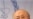 伊朗核问题久悬未决 IAEA失望