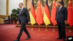 中国国家主席习近平在北京人大会堂会晤到访的德国总理朔尔茨。(2022年11月4日)