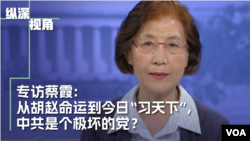 专访蔡霞: 从胡赵命运到今日“习天下”,中共是个什么样的党?