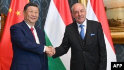 匈牙利总统舒尤克(Tamas Sulyok )在布达佩斯总统府与到访的中国国家主席习近平握手。(2024年5月9日)