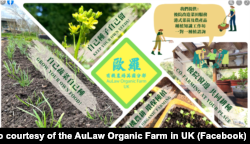 欧罗有机农场英国分部的宣传海报 (图片来源:欧罗有机农场英国分部脸书网站)
