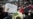 韩国国会选举民调结果显示反对派扩大多数优势钳制总统施政