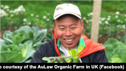 农夫黄如荣展示手中的小菜苗 (图片来源:欧罗有机农场英国分部脸书网站)