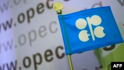 资料照:石油输出国组织欧佩克 (OPEC)标识