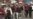 16x9 Image