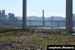 一名女子走过因干旱而裸露在外的重庆段长江河床。(2022年8月17日)