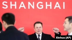 资料照:马斯克在上海出席特斯拉上海超级工厂奠基典礼。(2019年1月7日)