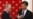习近平与普京彼此打气,为何对普京“不离不弃”