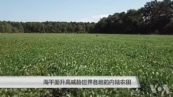 海平面升高威胁世界各地的内陆农田 海平面升高威胁世界各地的内陆农田