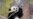 16x9 Image