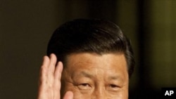 中国国家副主席习近平(资料照)