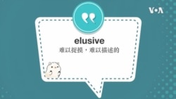 学个词--elusive 学个词--elusive