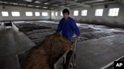 一名中国工人在北京以北的一家二锅头酒厂推着一车高粱。(2008年1月27日)