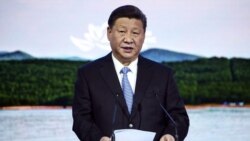 “人类命运共同体”的版权争议 “人类命运共同体”的版权争议