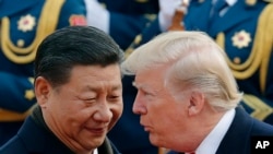 特朗普总统和习近平主席在北京(2017年11月9日)