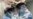 16x9 Image