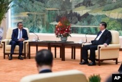 中国国家主席习近平在北京人大会堂会见到访的世卫组织总干事谭德塞。(2020年1月28日)