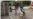 洋学生获“超国民待遇”?山东大学“学伴”惹争议