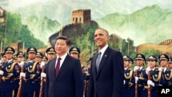 2014年11月12日,中国国家主席习近平在人民大会堂欢迎美国总统奥巴马。(资料照)
