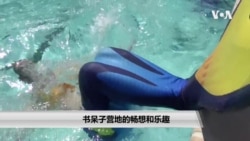 书呆子营地的畅想和乐趣 书呆子营地的畅想和乐趣