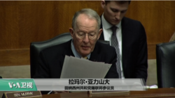 VOA连线(易林):跨代家长,阿片带来的家庭悲剧 VOA连线(易林):跨代家长,阿片带来的家庭悲剧