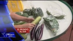 El Mundo al día