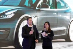 特斯拉执行总裁马斯克和特斯拉中国区高管陶琳在上海举行的国产特斯拉Model 3型汽车交付仪式上。(2021年1月7日)
