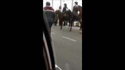警察沿路部署在阿扎迪街,他们配备防暴装置,有些骑着马 警察沿路部署在阿扎迪街,他们配备防暴装置,有些骑着马