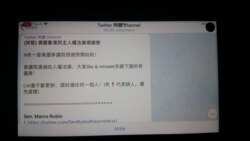 通讯软件 Telegram 上的推特共识频道发起“美国香港民主人权法案感谢祭”,请大家 “like”或者转推,感谢支持法案的议员。(美国之音刘耀玲拍摄)