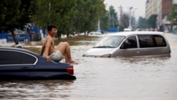 一名男子坐在暴雨后郑州街头漂浮的汽车上。(2021年7月22日)