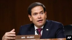 资料照:共和党联邦参议员鲁比奥(Sen. Marco Rubio, R-FL)在参议院情报委员会听证会上讲话。(2020年5月5日)