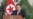韩朝紧张局势升级之际,金正恩召开高层安全会议