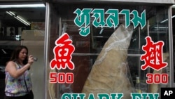 资料照片:泰国首都曼谷一家餐厅展示的鱼翅(2013年3月5日)
