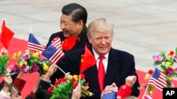 美国总统特朗普和中国国家主席习近平在北京人大会堂举行的欢迎仪式上受到挥舞美中国旗和鲜花的孩子们的欢迎。(2017年11月9日)