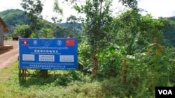 中国和老挝政府联合推出的罂粟替代种植项目。(美国之音朱诺拍摄,2013年8月11日)