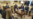 特朗普会晤吕特,宣布将向北约成员国出售用于乌克兰防御的美国军事设备