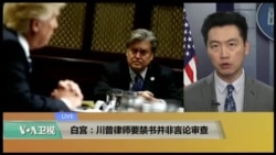 VOA连线(黄耀毅):白宫:川普律师要禁书并非言论审查 VOA连线(黄耀毅):白宫:川普律师要禁书并非言论审查