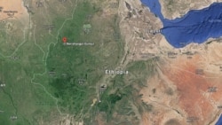 ኢትዮጵያ:ኣብ ክልል ቤንሻንጉል ልዕሊ 100 ሰባት ብዕጡቓት ምቕታሎም ነበርቲ ገሊጾም ኢትዮጵያ:ኣብ ክልል ቤንሻንጉል ልዕሊ 100 ሰባት ብዕጡቓት ምቕታሎም ነበርቲ ገሊጾም