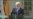 川普称让朝鲜彻底绝望,新制裁对象多在中国
