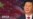习近平访美
