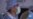 16x9 Image