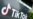 纽约市跟进宣布政府设备禁止TikTok 近半数美国成年人支持禁令
