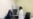新奥尔良开启新冠疫苗人体实验