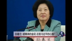时事大家谈:孙春兰:胡锦涛的金花 还是习近平的心腹? 时事大家谈:孙春兰:胡锦涛的金花 还是习近平的心腹?