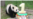 16x9 Image