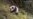 16x9 Image