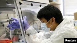 冠状病毒在纽约市爆发期间,一位科学家在纽约市卫生部门的实验室中测试病毒样品。(路透社2020年4月23日资料照)