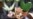 16x9 Image