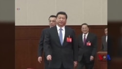 专家:习近平忙集权,经济改革无望 专家:习近平忙集权,经济改革无望