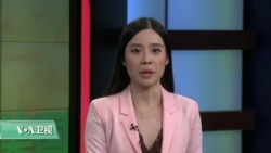 VOA连线(乔栈):美国贸易代表办公室听证会上行业代表对关税表达担忧 VOA连线(乔栈):美国贸易代表办公室听证会上行业代表对关税表达担忧